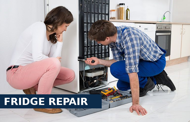 Fridge Repair Battersea